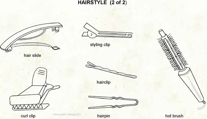 Hairstyle 2  (Visual Dictionary)
